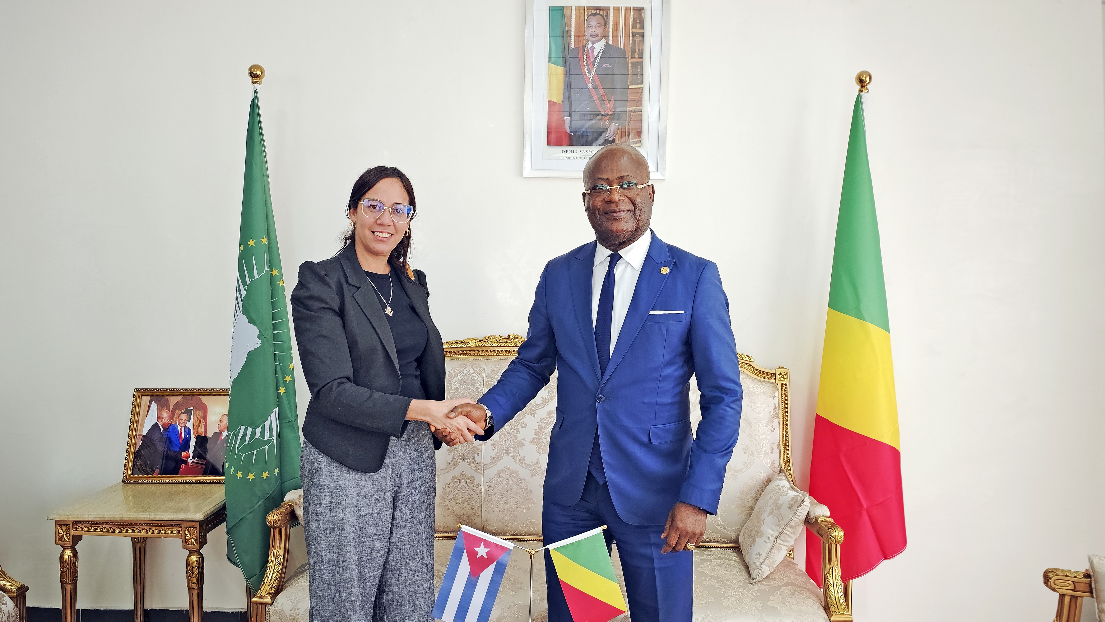 Son Excellence Madame l'Ambassadeur de Cuba reçue en audience par le Secrétaire Général